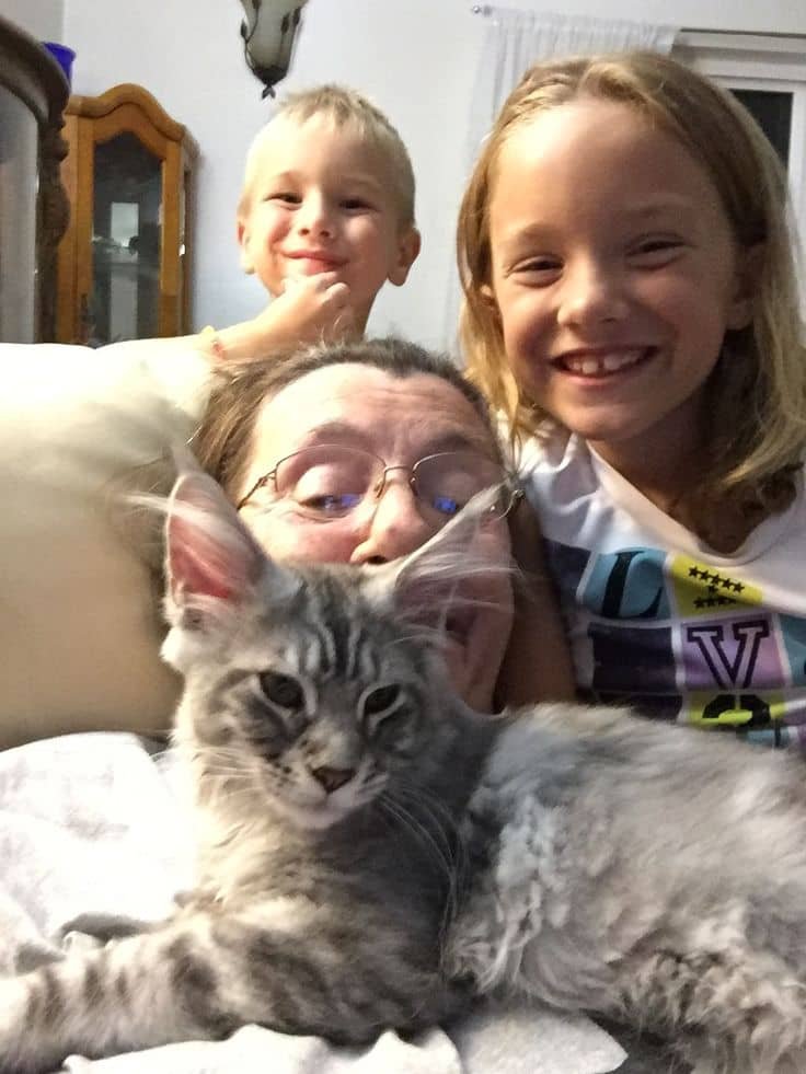 Happy Maine Coon Family
